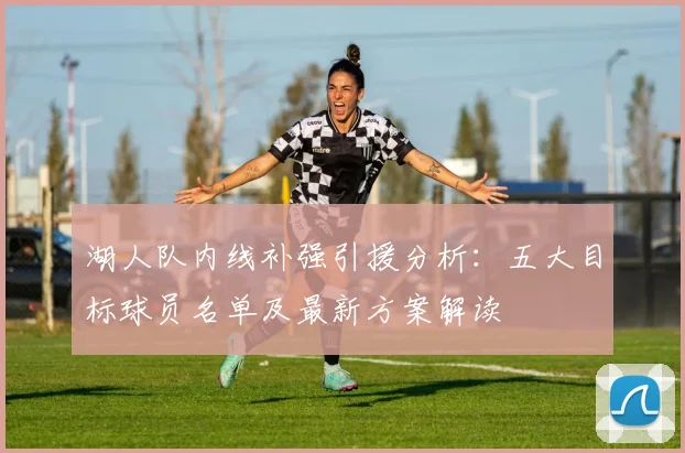 湖人队内线补强引援分析：五大目标球员名单及最新方案解读